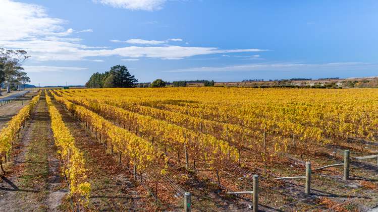 1523 Redwood Pass Road Seddon_5