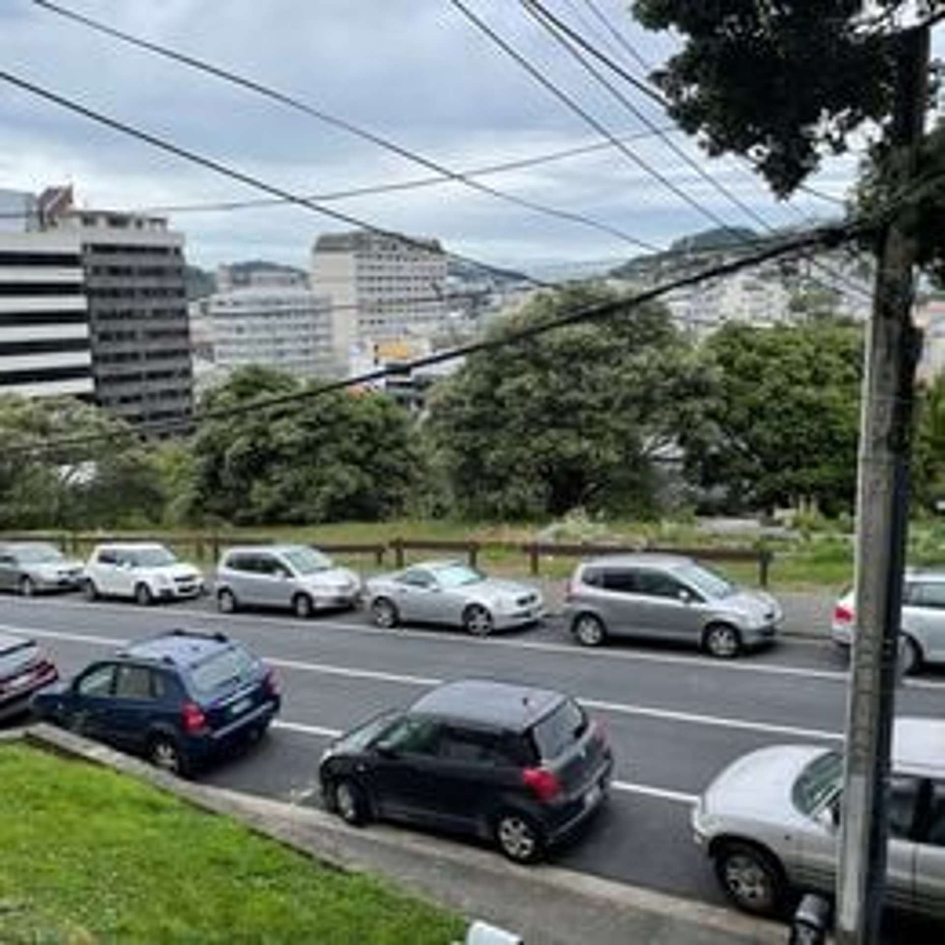 28 MacDonald Cres - flat 2 (ground floor)/28 MacDonald Crescent Te Aro_0