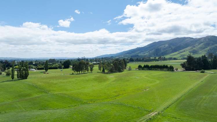 Lot 2, 3 & 4 Dalvey Road Tapanui_17