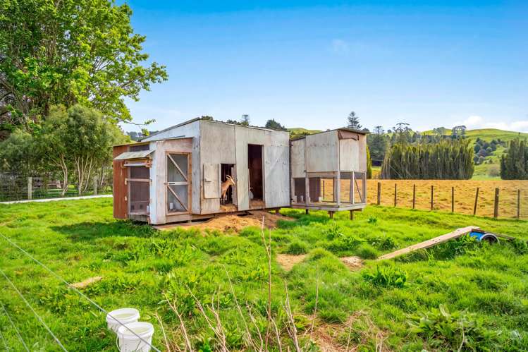 16 Guy Road Kaipara Flats_16