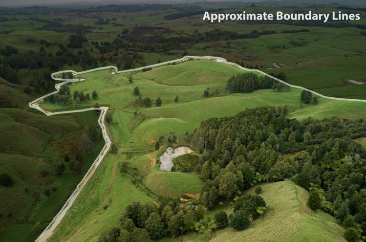 401 Waikaretu Valley Road Glen Murray_19