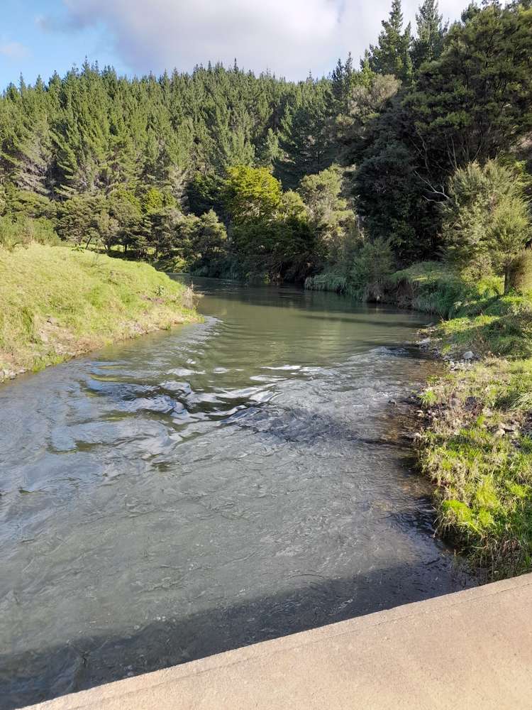 632a Sawyer Road Mangonui_21