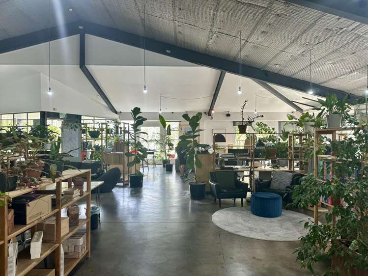 21 Scanlan Street Grey Lynn_3