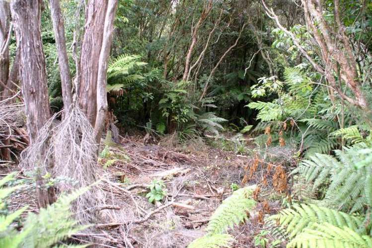 38 Wohlers Road Stewart Island/Rakiura_4