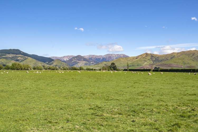 677 Pig Saddle Road Sheffield_10