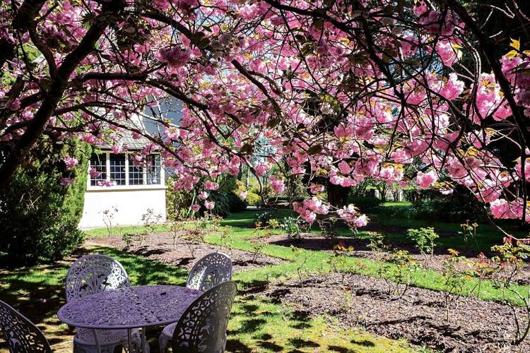 171 Gladstone Road South East Taieri_25