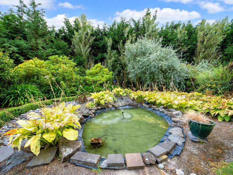 62 Madeleys Road Clarkville_25