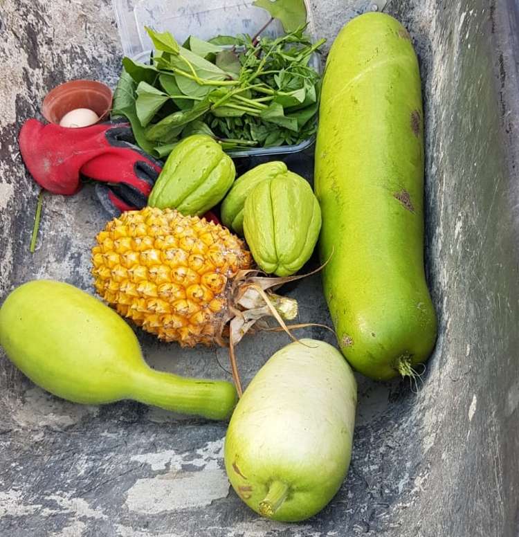 572a Pahi Road Paparoa_18