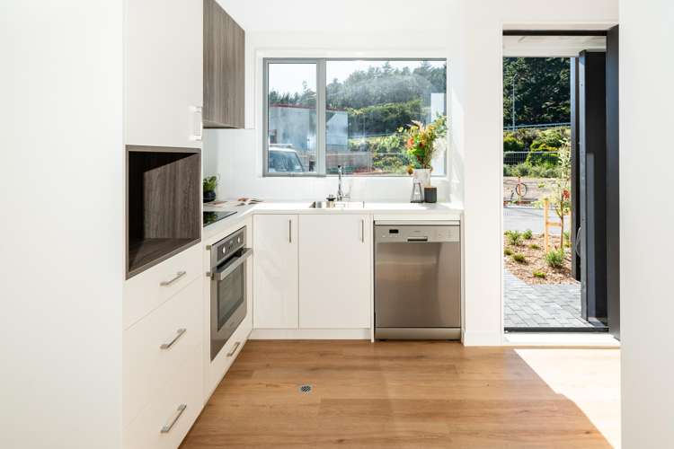 84 Ara Paiwhenua Tawa_20