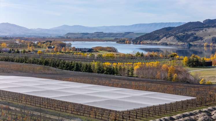 Smiths Way Cromwell_12