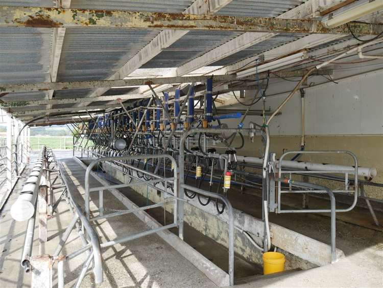 44 Wigzell Road Kahurangi National Park_16