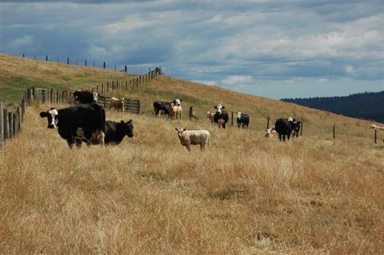 Waiti Road Tahuna_29