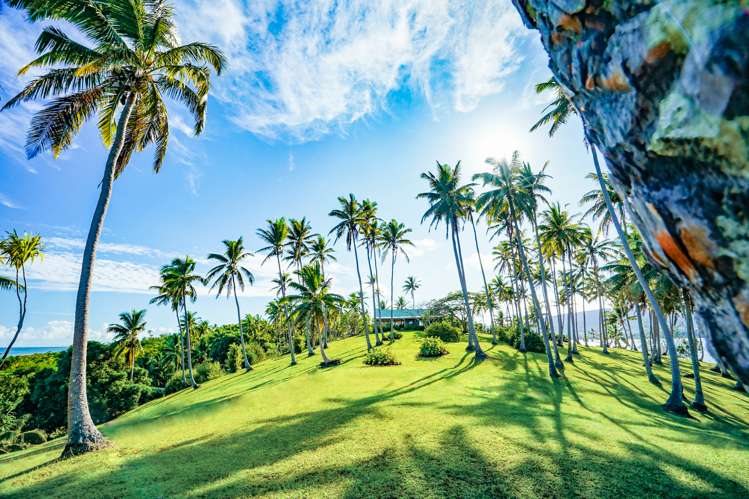 Onyx Island Fiji Vanua Levu_9