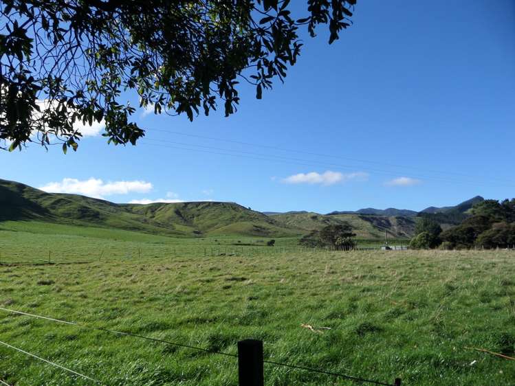 417 Whakatomotomo Road Pirinoa_17