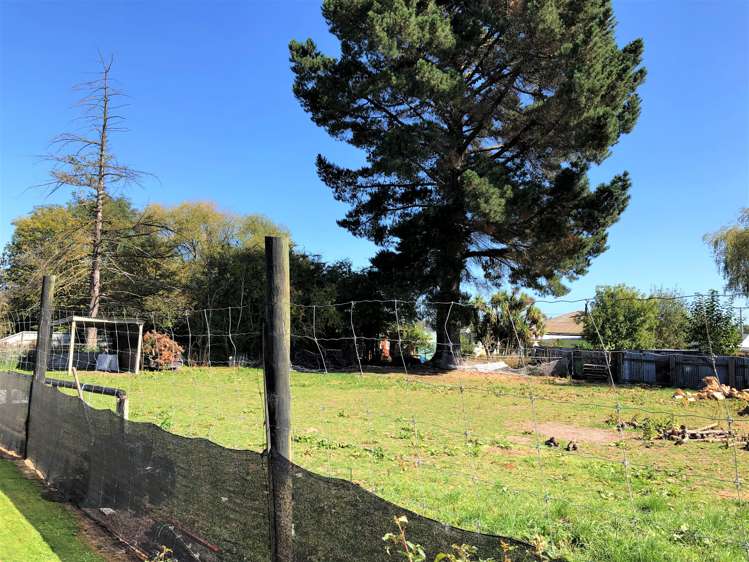 48 Burns Street Milton_18