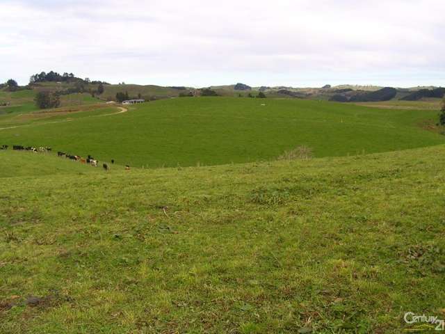 159 Bonner Road Otorohanga_3