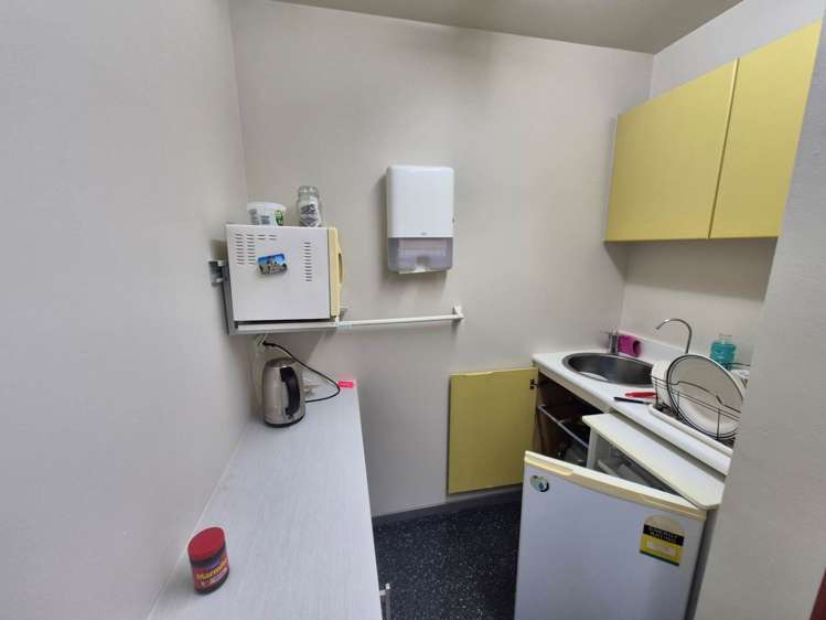 123C Dominion Road Mt Eden_9