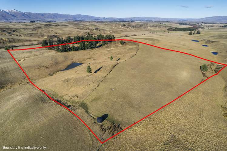 793 Channel Road Naseby_15