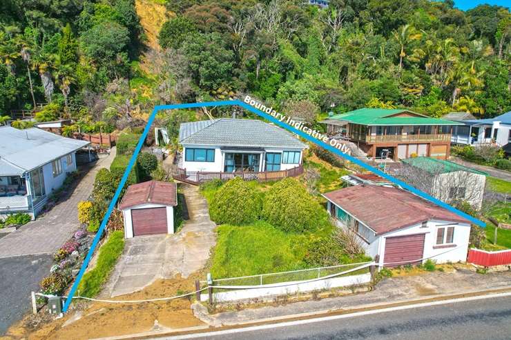 Jonathan and Kathy Peet bought the slip-damaged property on Thames Coast Road, in Thornton Bay, for $375,000 at the weekend. Photo / Supplied