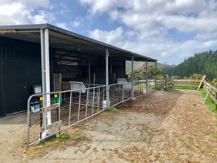 3609 State Highway 10 Kaeo_13