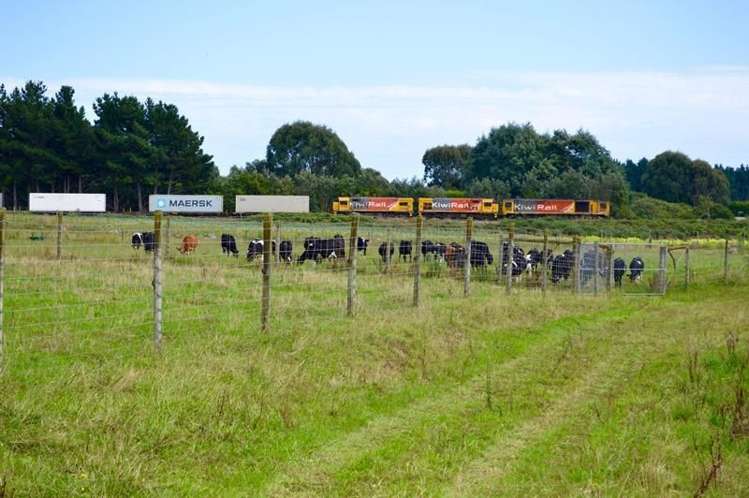 143 State Highway 1 Otaki_9