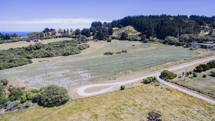 371 Cathedral Road Domett_9