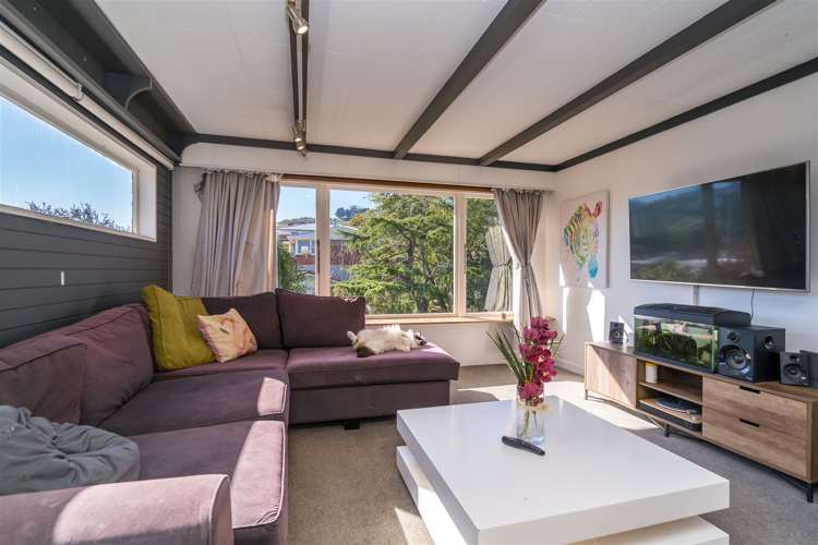 42 Weir Street Green Island_1