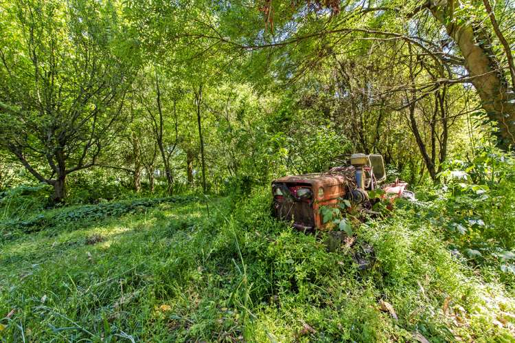 444 Days Road Springston_18