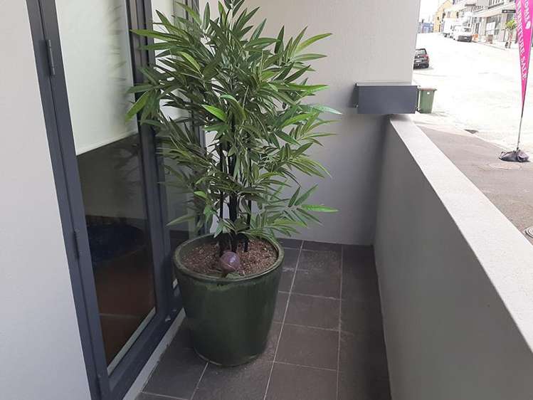 16/34 Pollen Street Grey Lynn_15