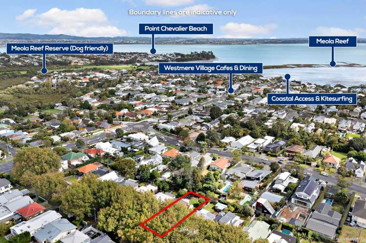 14 Nottingham Street Westmere_22