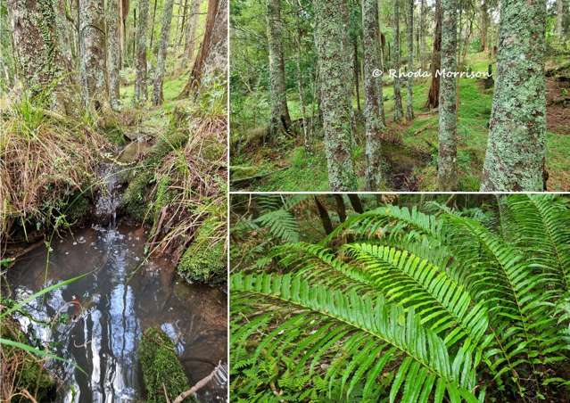 726 Paparoa Station Road Maungaturoto_4