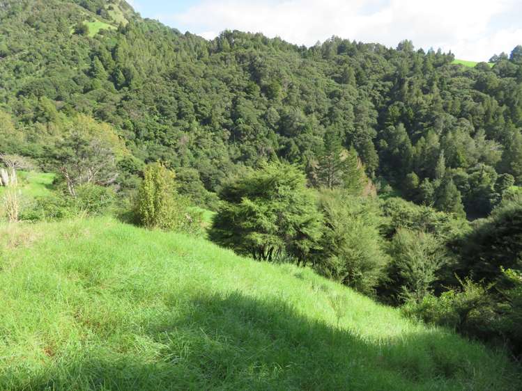 320 Takahue Saddle Road Takahue_20