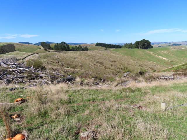 210 Mangamaire Road Dannevirke_1