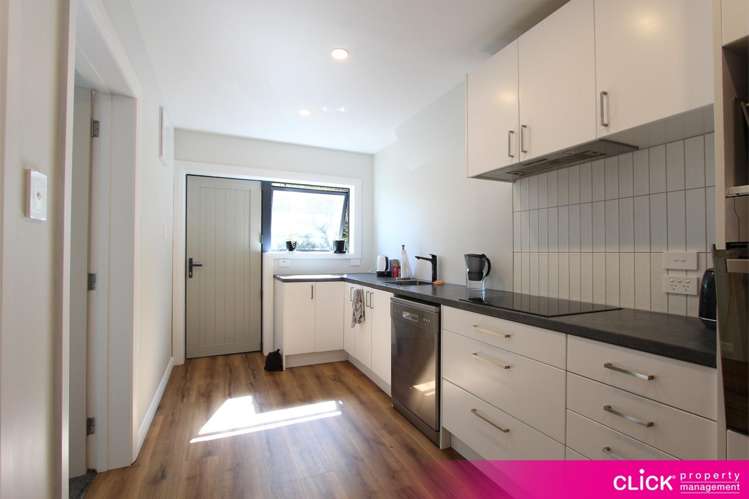 262 B Kenmure Road_0