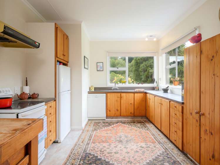 26 Allans Beach Road Portobello_6