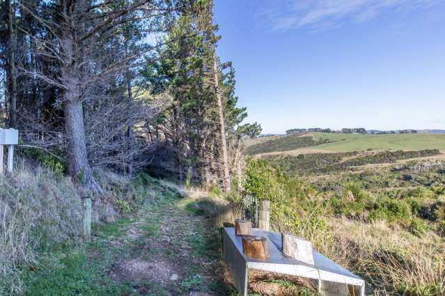 1165C Cooks Tooth Road Porangahau_4