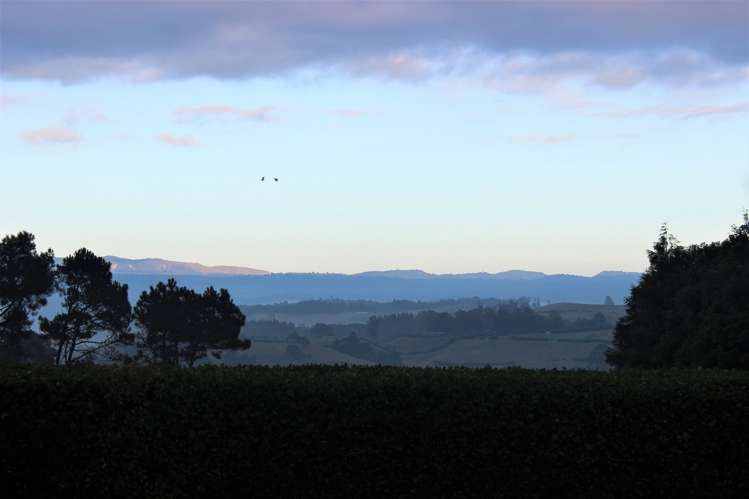 286g Mclaren Falls Road Kaimai_25