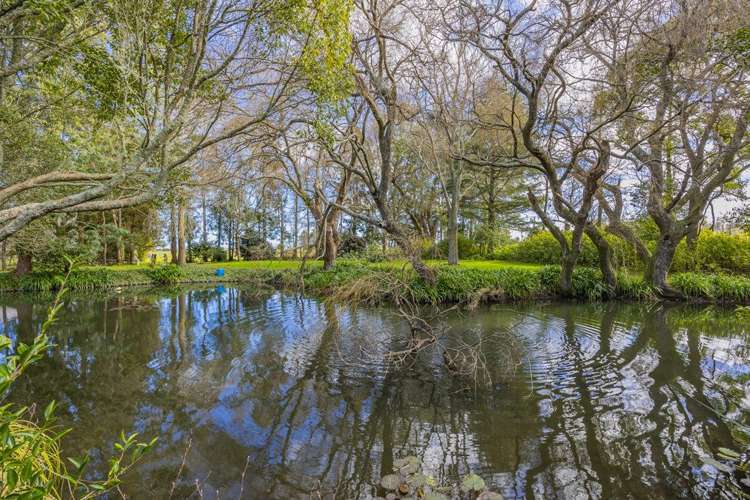 35C Wallace Drive Clarks Beach_6