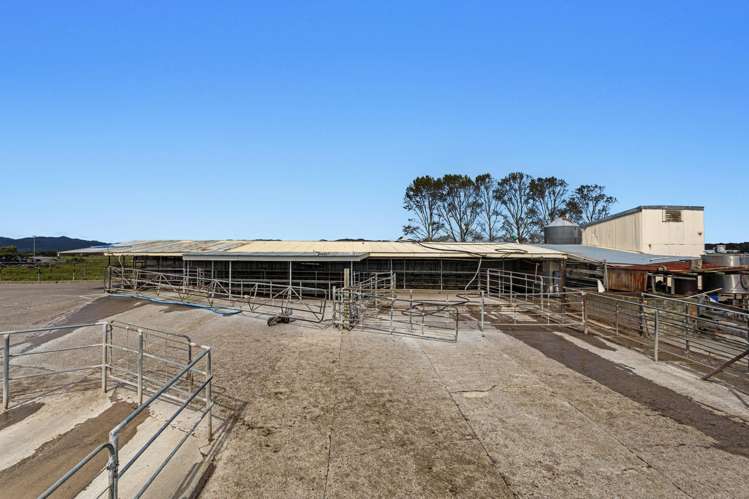 379B Powdrell Road Awakeri_10