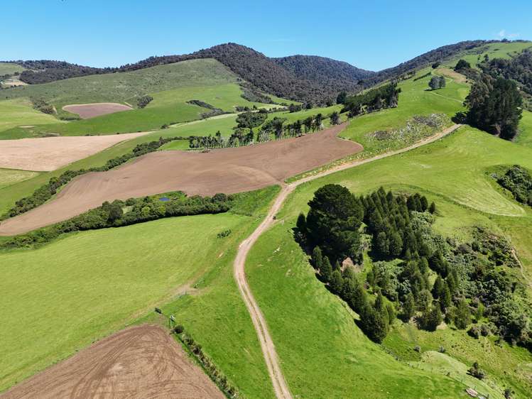 124 Niagara Waikawa Road Niagara_13