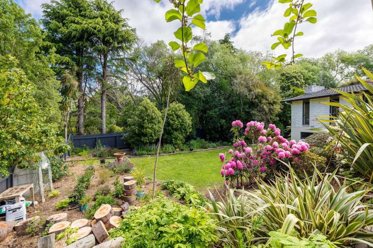 11 Hayes Street Waimate_18