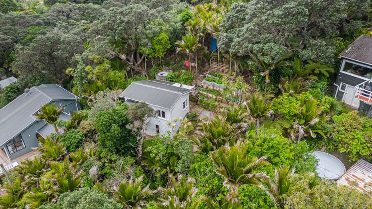 5 Sylvan Glade Piha_4