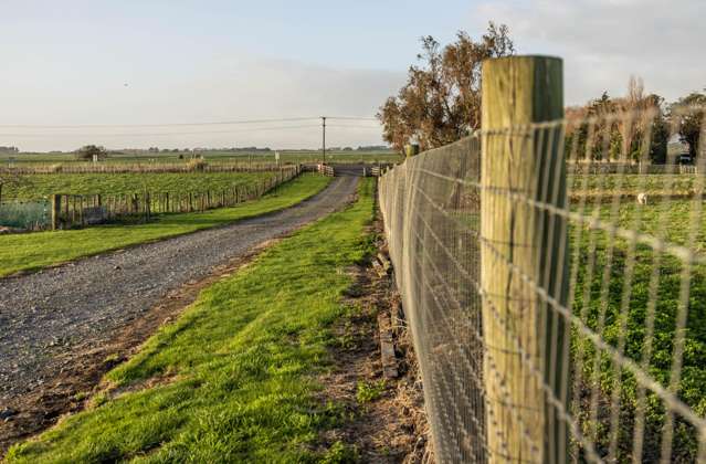 3125 State Highway 1 Sanson_3