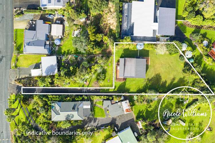 20 Komiti Road Tinopai_33