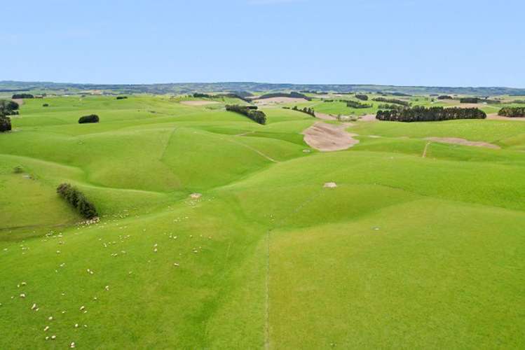 355 Clifton Road Clinton and Surrounds_11