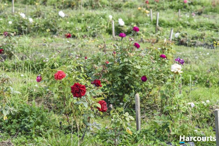 77 Douglas Road Motueka_48