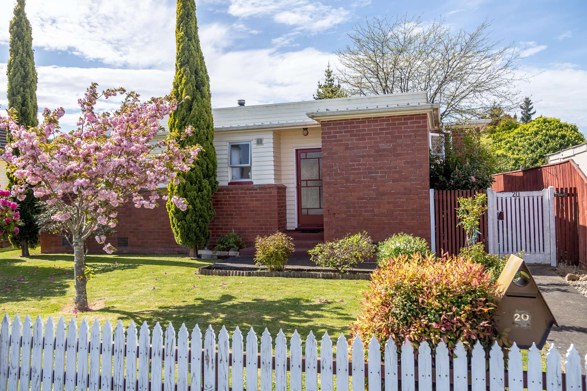 20 Mcgregor Crescent Masterton_0