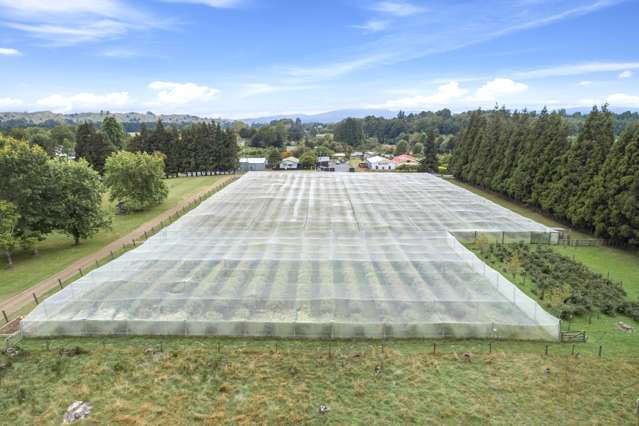 40 Owhango Road Owhango_4