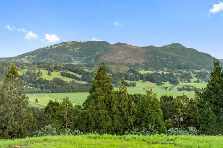 397 Apotu Road Kauri_22