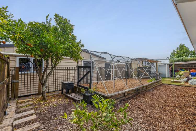 3/384 Main Road Stoke Stoke_12